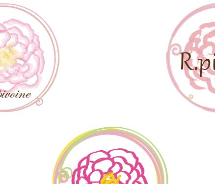 66c19942ab4ba346fdb64ccc04cde3731